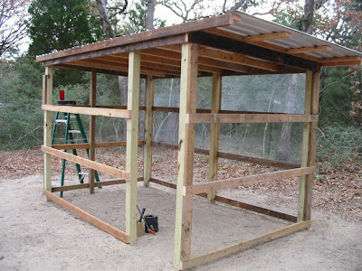 Turtle Ranch Tales: Start of the Pigeon coop.