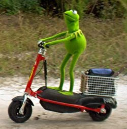 kermit-scooter1.jpg