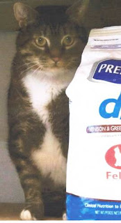 Neartown Animal Clinic