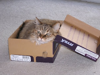 Neartown Animal Clinic