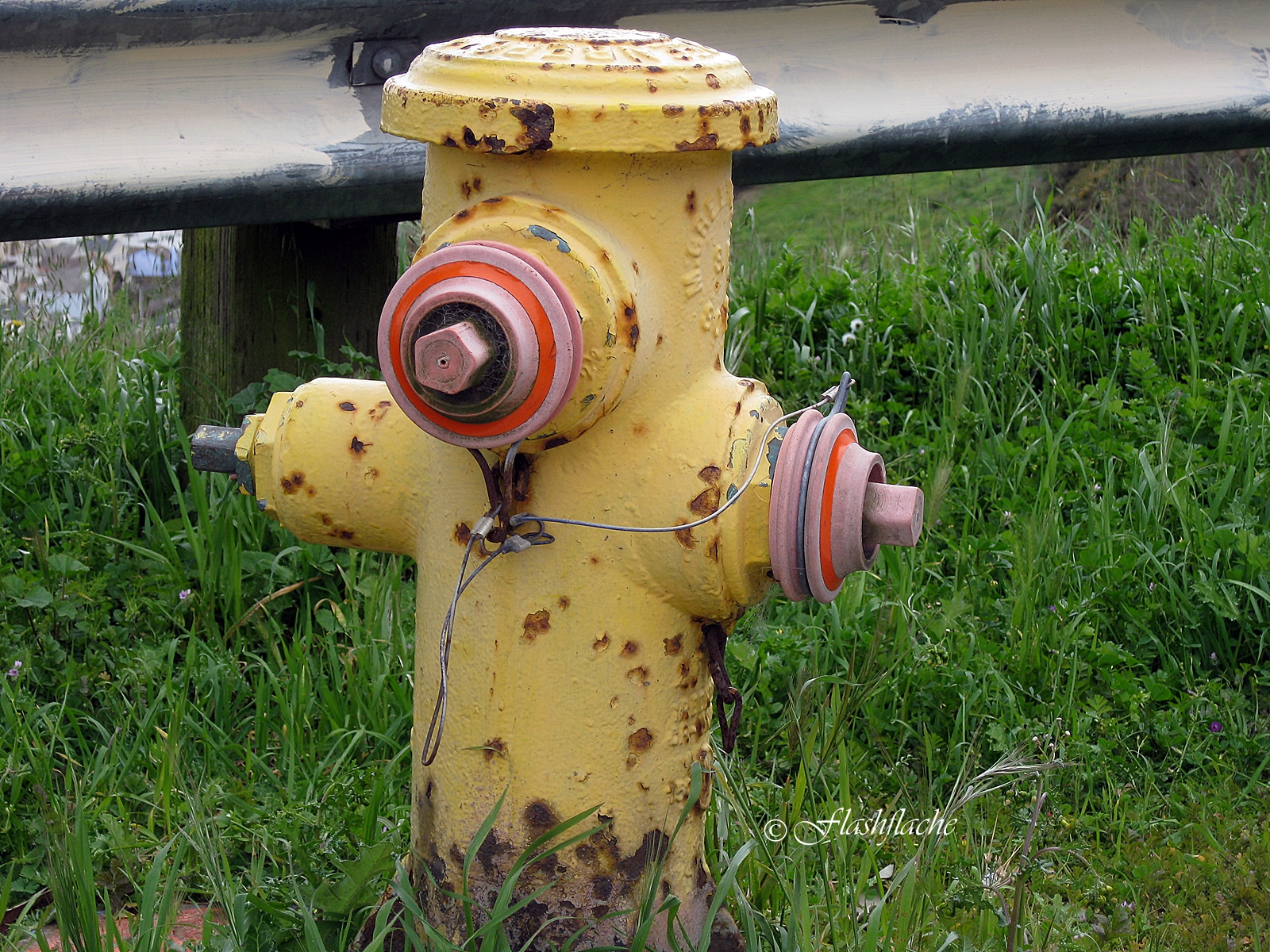 [Fire hydrant.jpg]