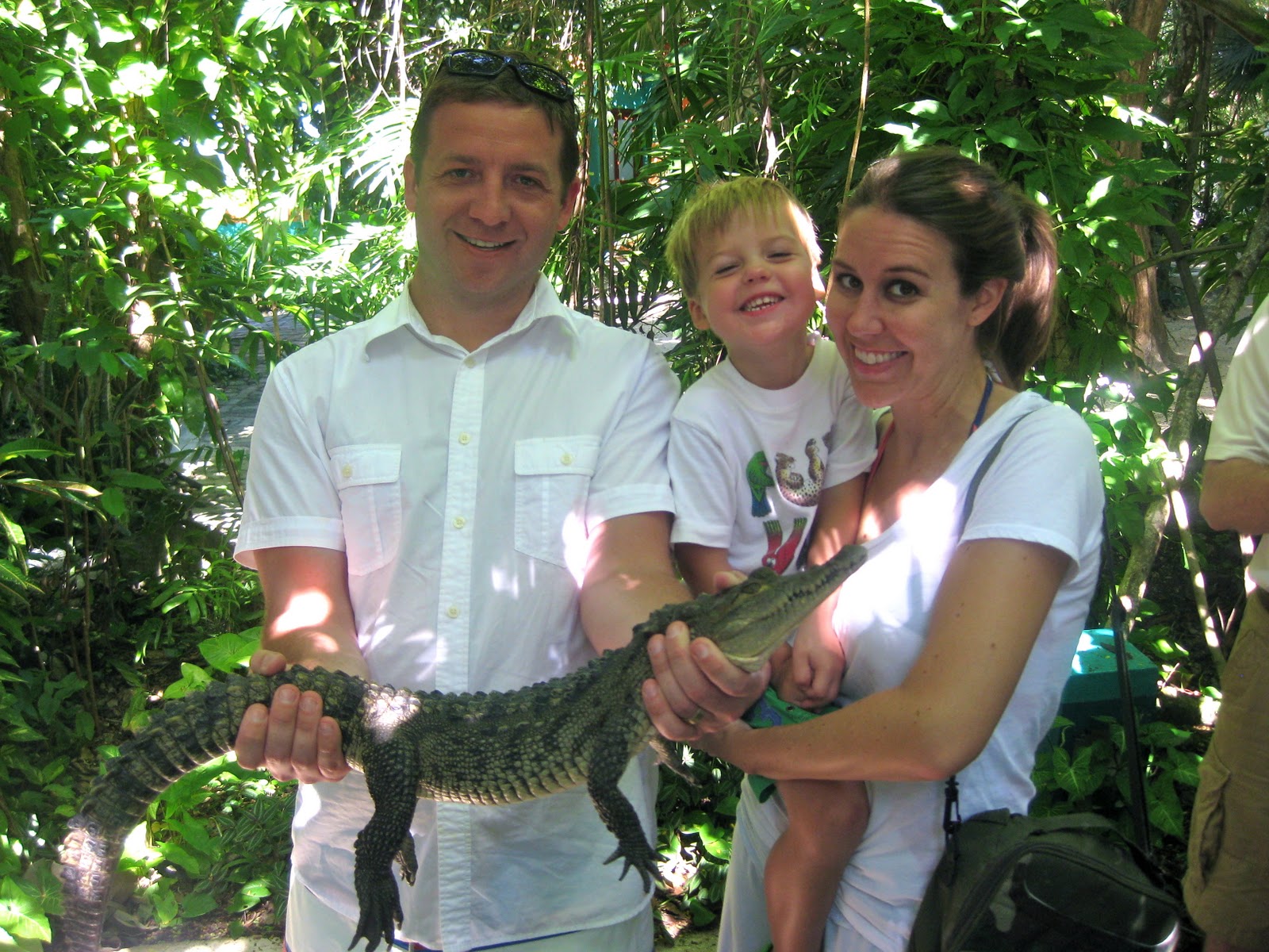 Publix store hours on thanksgiving