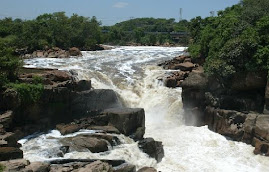 EM SALTO, DIZEM QUE JÁ TEM PEIXE