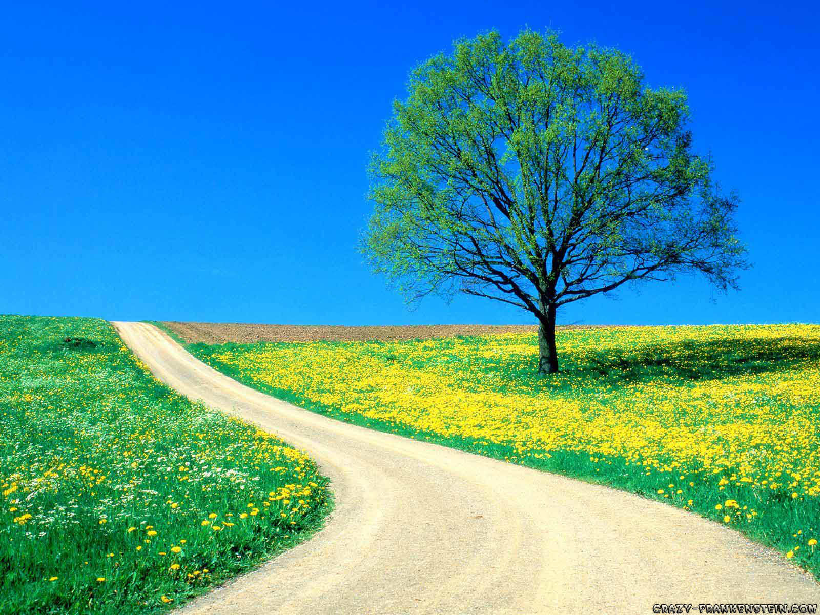 most beautiful scenery pictures most beautiful scenery pictures