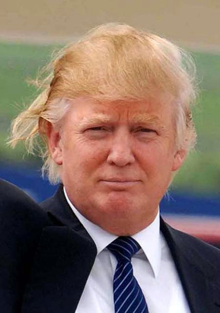 donald trump hair piece. Donald+trump+hair+piece