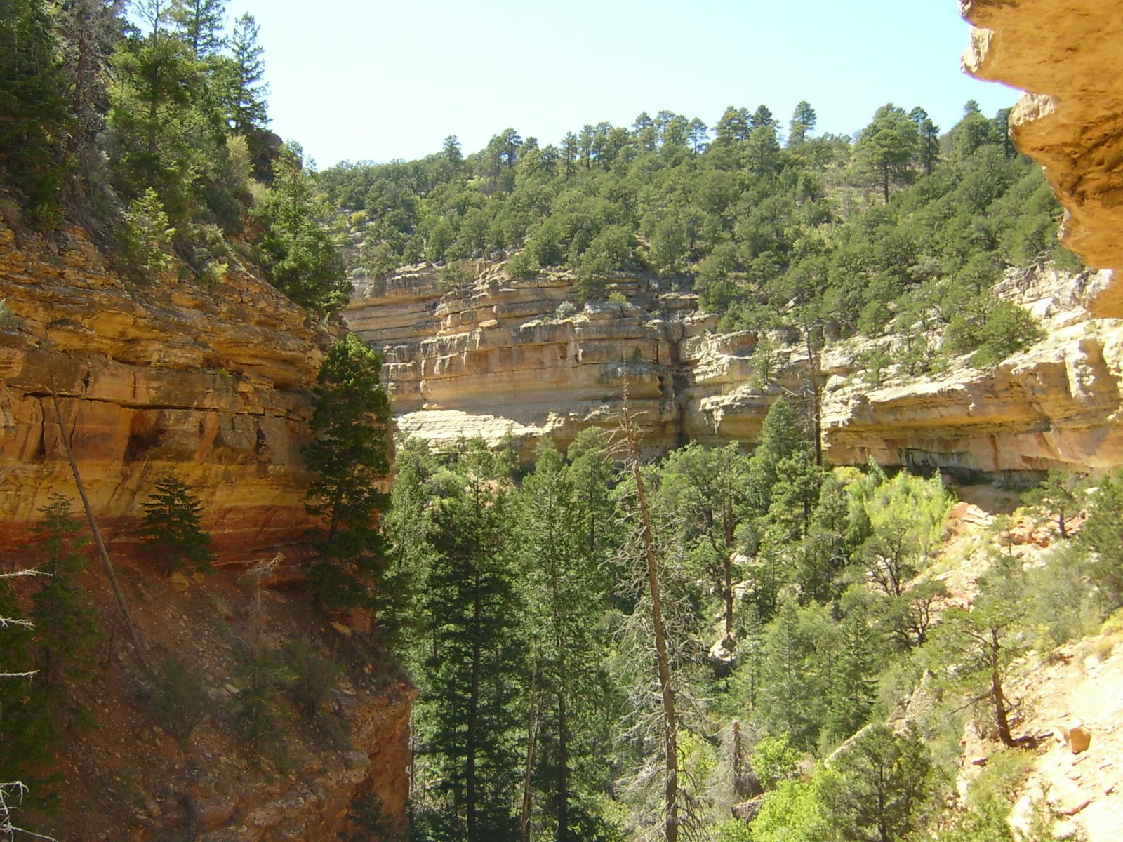 [cliff+spring+trail+07.JPG]