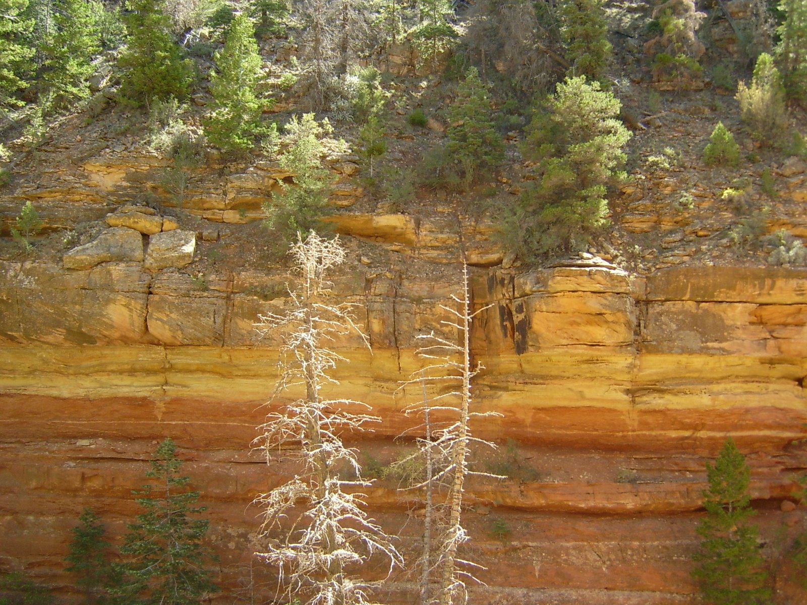 [cliff+spring+trail+08.JPG]