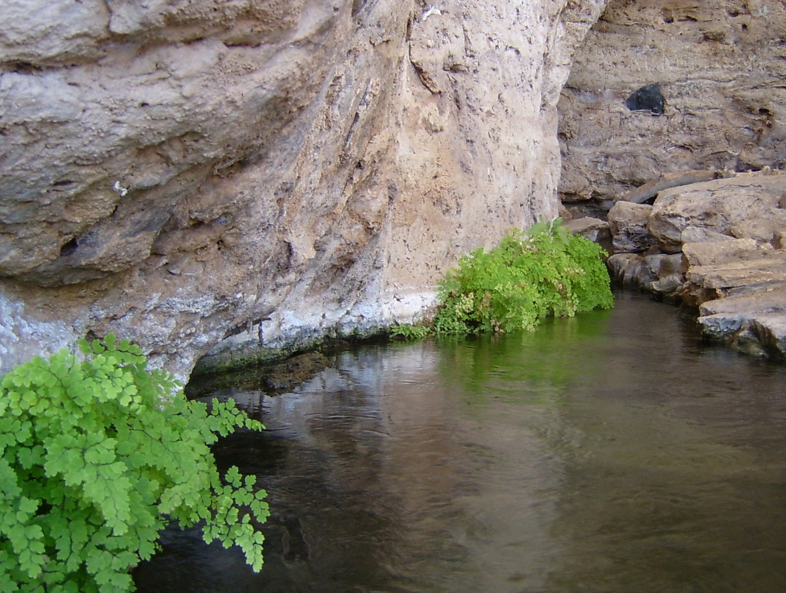 [montezuma+csatle+12.JPG]