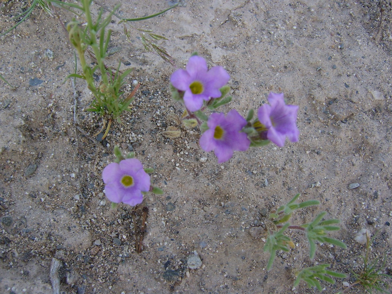 [S4200033.JPG]