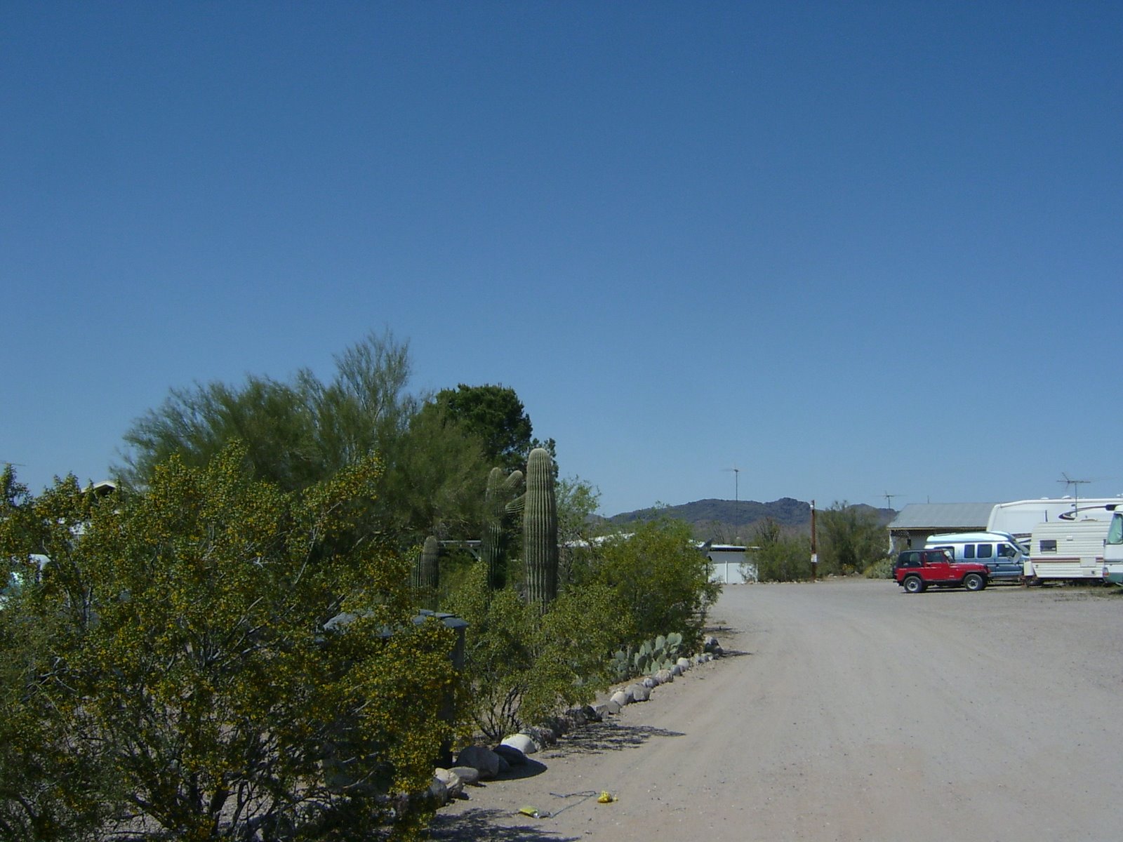 [cactus+ranch+03.JPG]