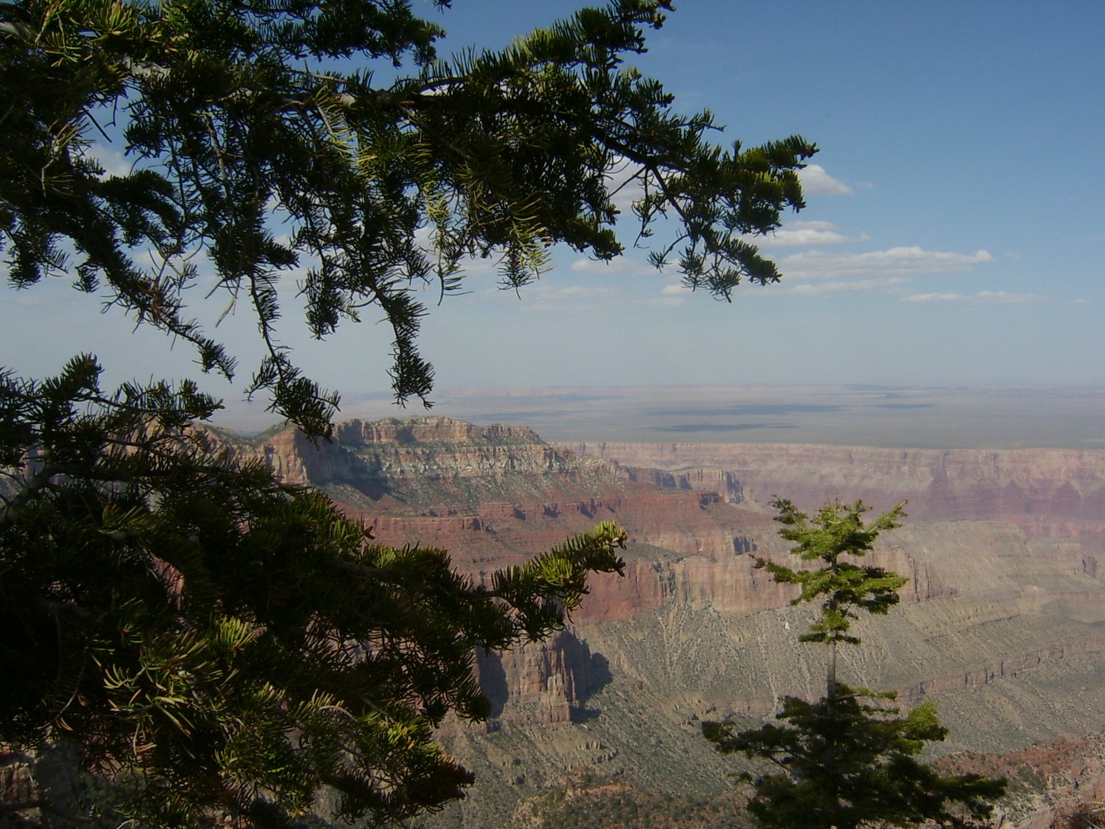 [S4200119.JPG]
