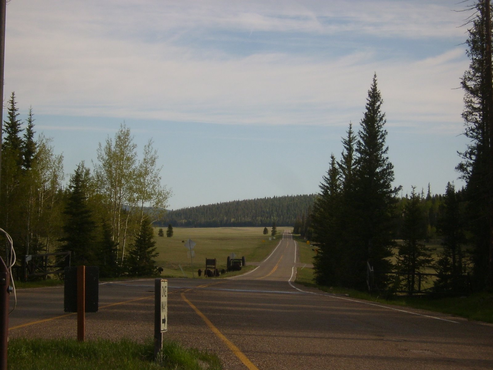 [S4200178.JPG]