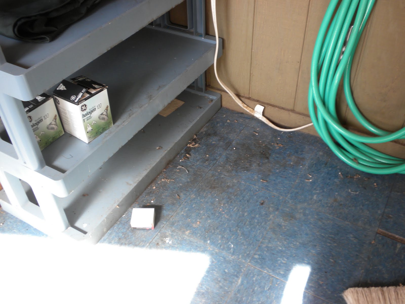 [work+day+02+before.JPG]