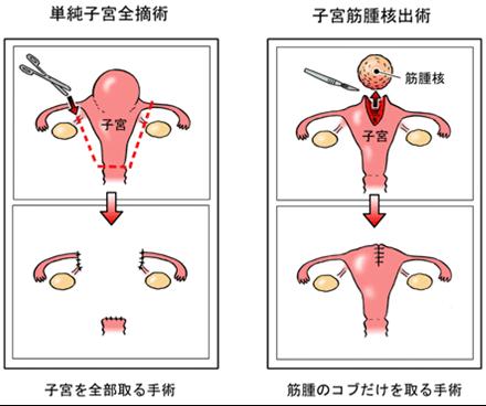 [åœ–ç‰‡4.jpg]