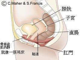 [è¤‡è£½+-Sml_section_high1.jpg]