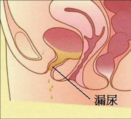 [åœ–ç‰‡1.jpg]