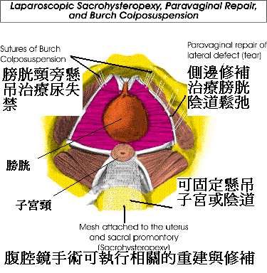 [è¤‡è£½+-00b77630.png]