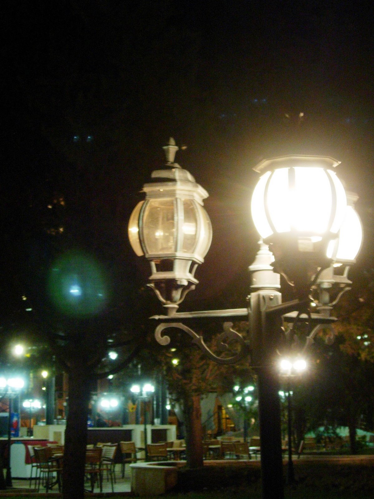 [DSCN4236.JPG]