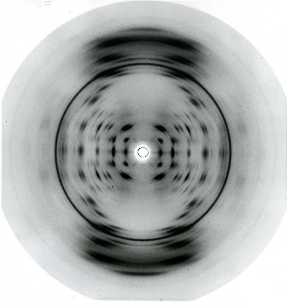 fingerprint thesis statement fingerprint thesis statement