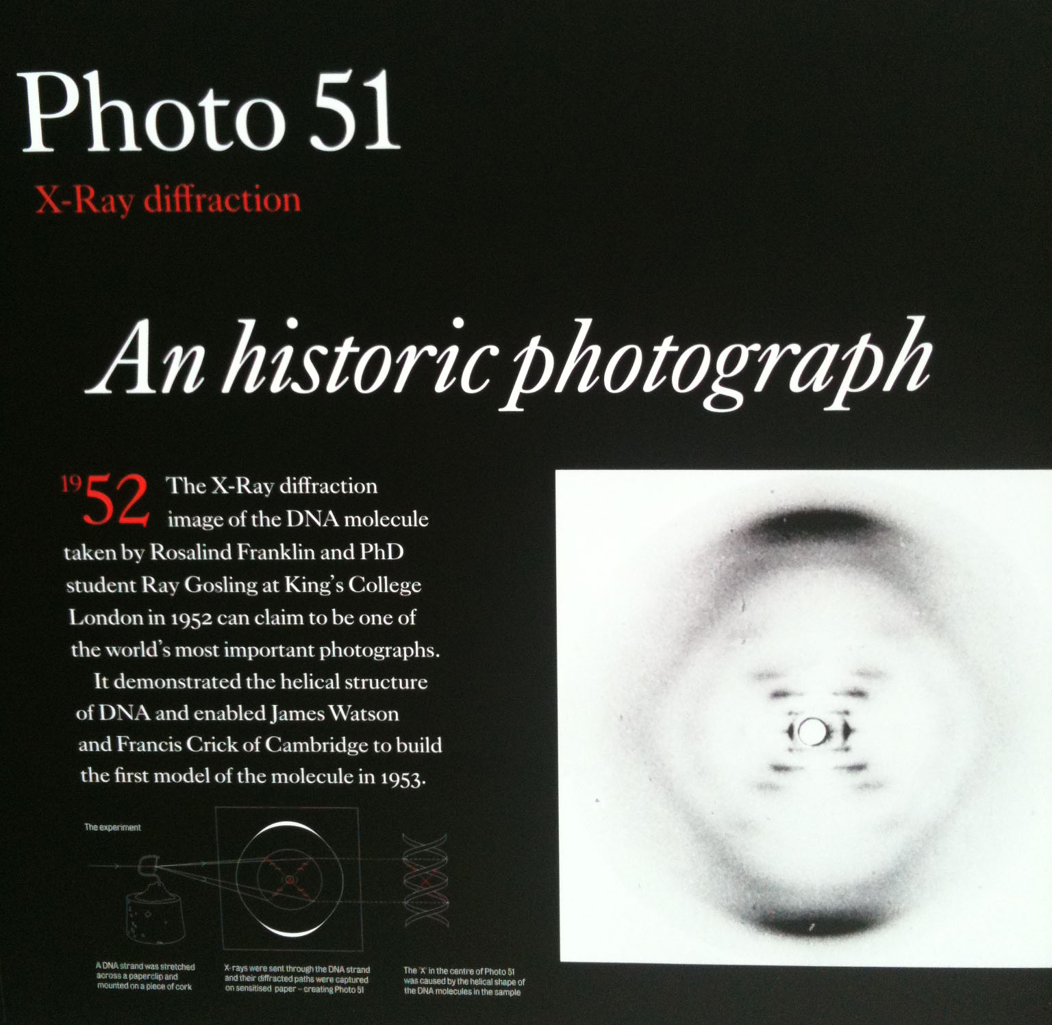 The penelopiad and photograph 51 essay topics picture