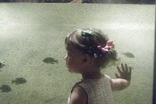 aquarium 1