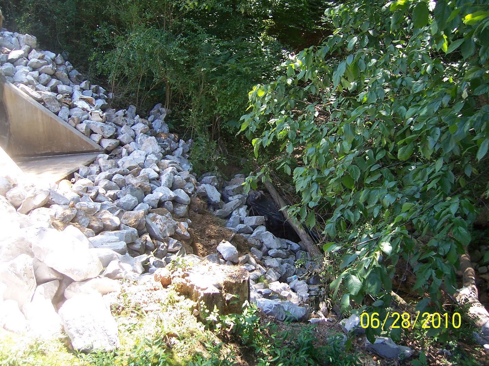 Poplar Hill Neighborhood Drainage FixShady Side