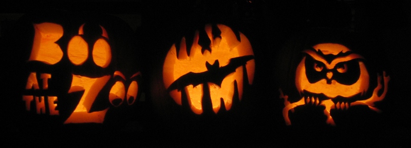 [Boo+pumpkin.JPG]