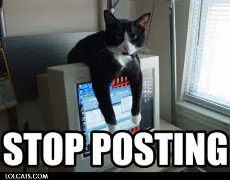 cat+stop+posting.jpg
