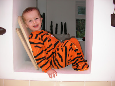 tigger sleepsuit and trichocereus peruvianus peruvian torch cacti