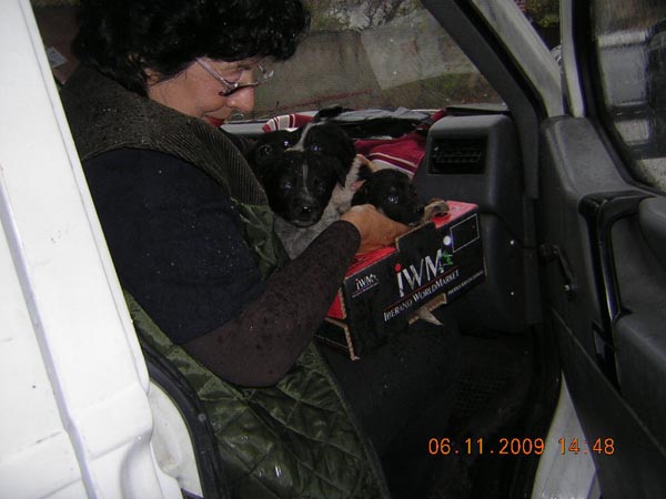 [DSCN4662.JPG]