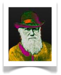 SPECIALE DARWIN