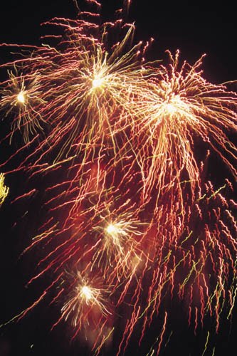 Neujahrswünsche Luenetraum: Dezember 2010