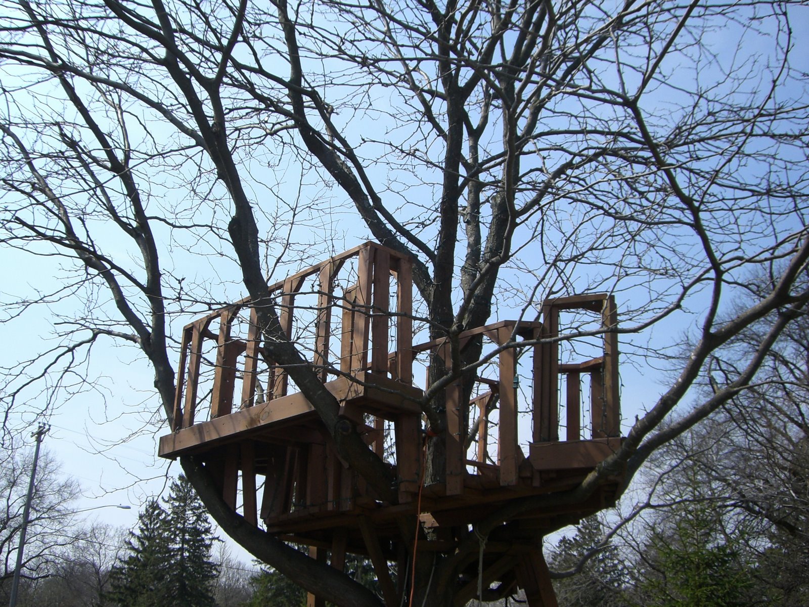 [TreeFort03.JPG]