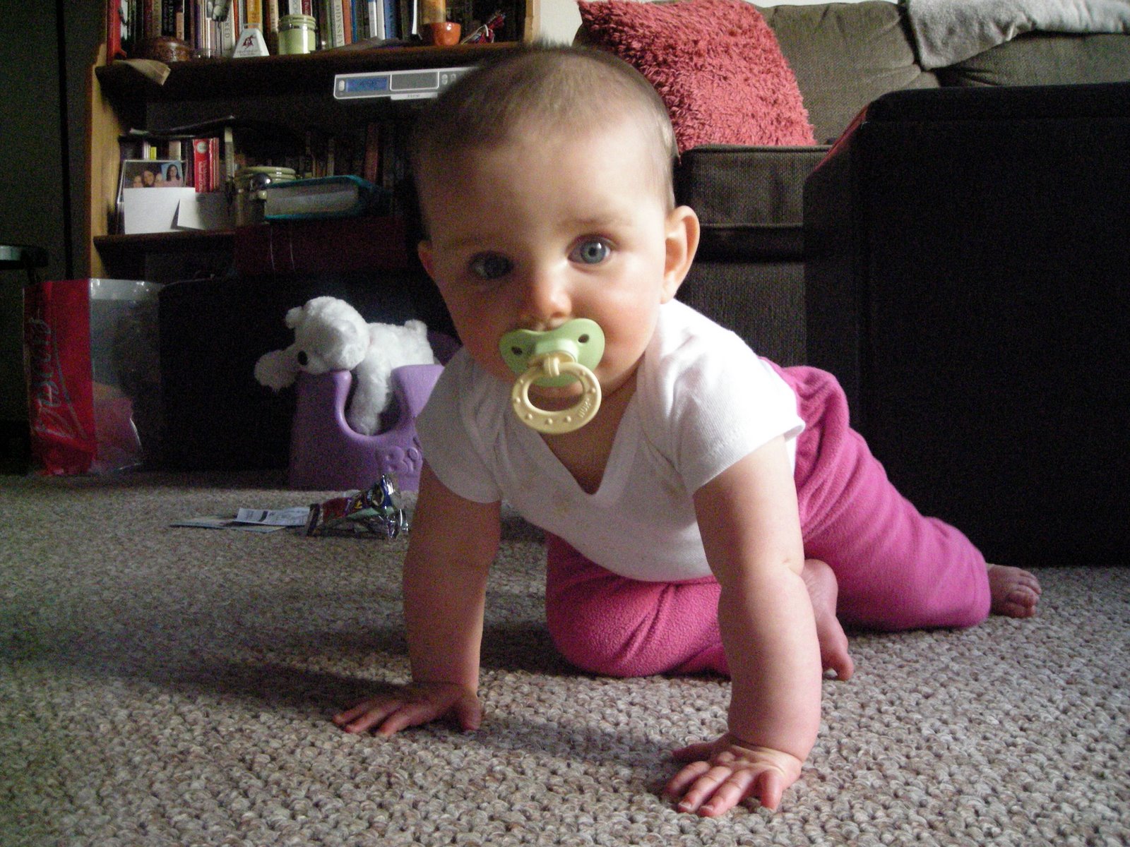 [DSCN4011.JPG]