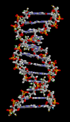 Fita de DNA