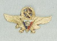 Gold Wing Badge