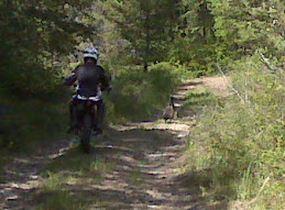 Riding Behind the Geese