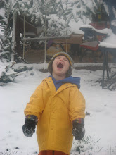 Snow