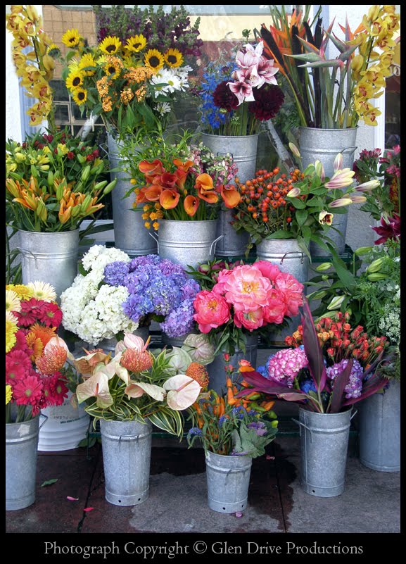 the mikereport January 2011