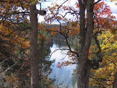 Fall at  the Pitt River