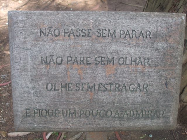 [DSCF0390.JPG]