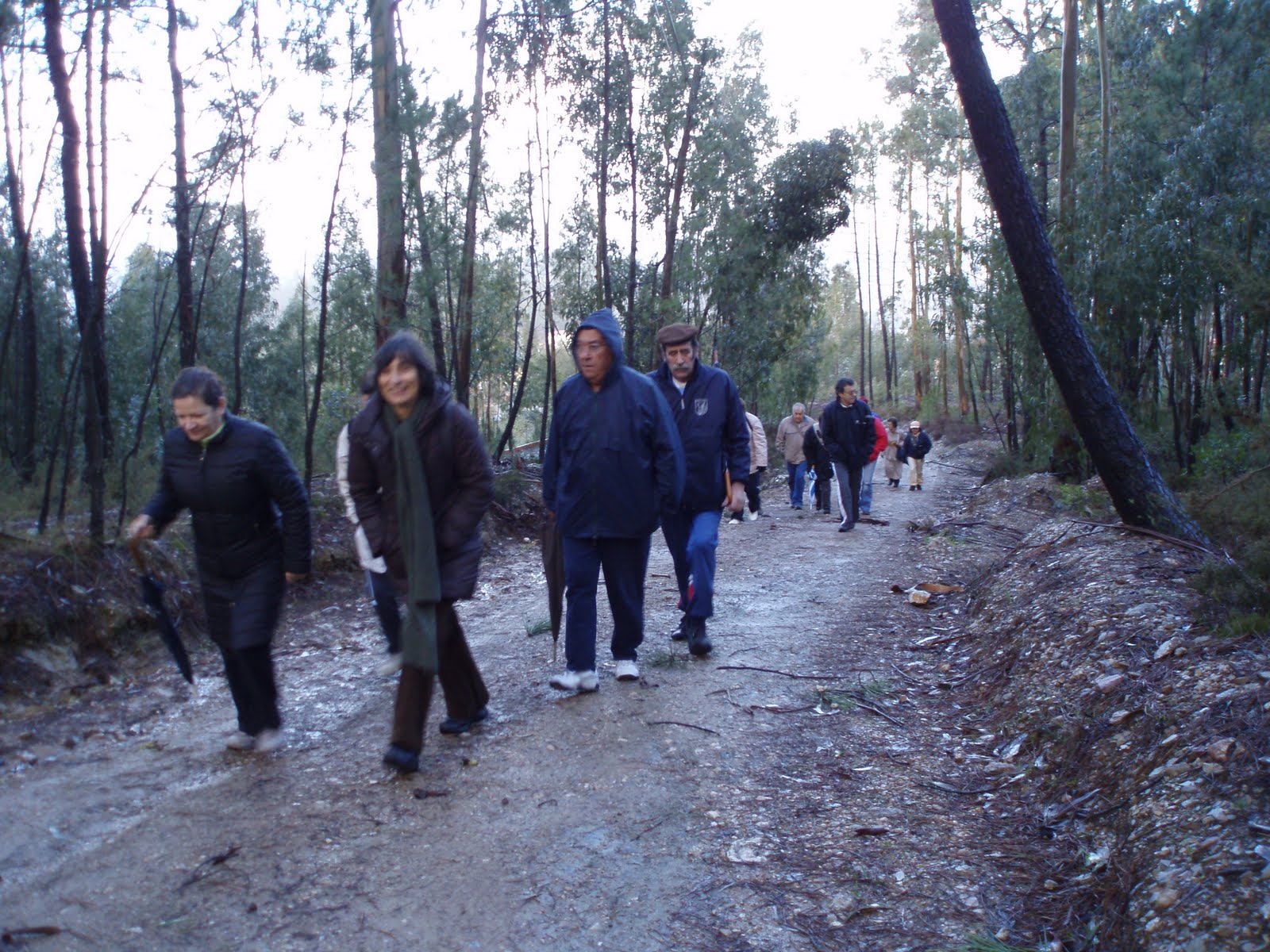 [P1250004.JPG]