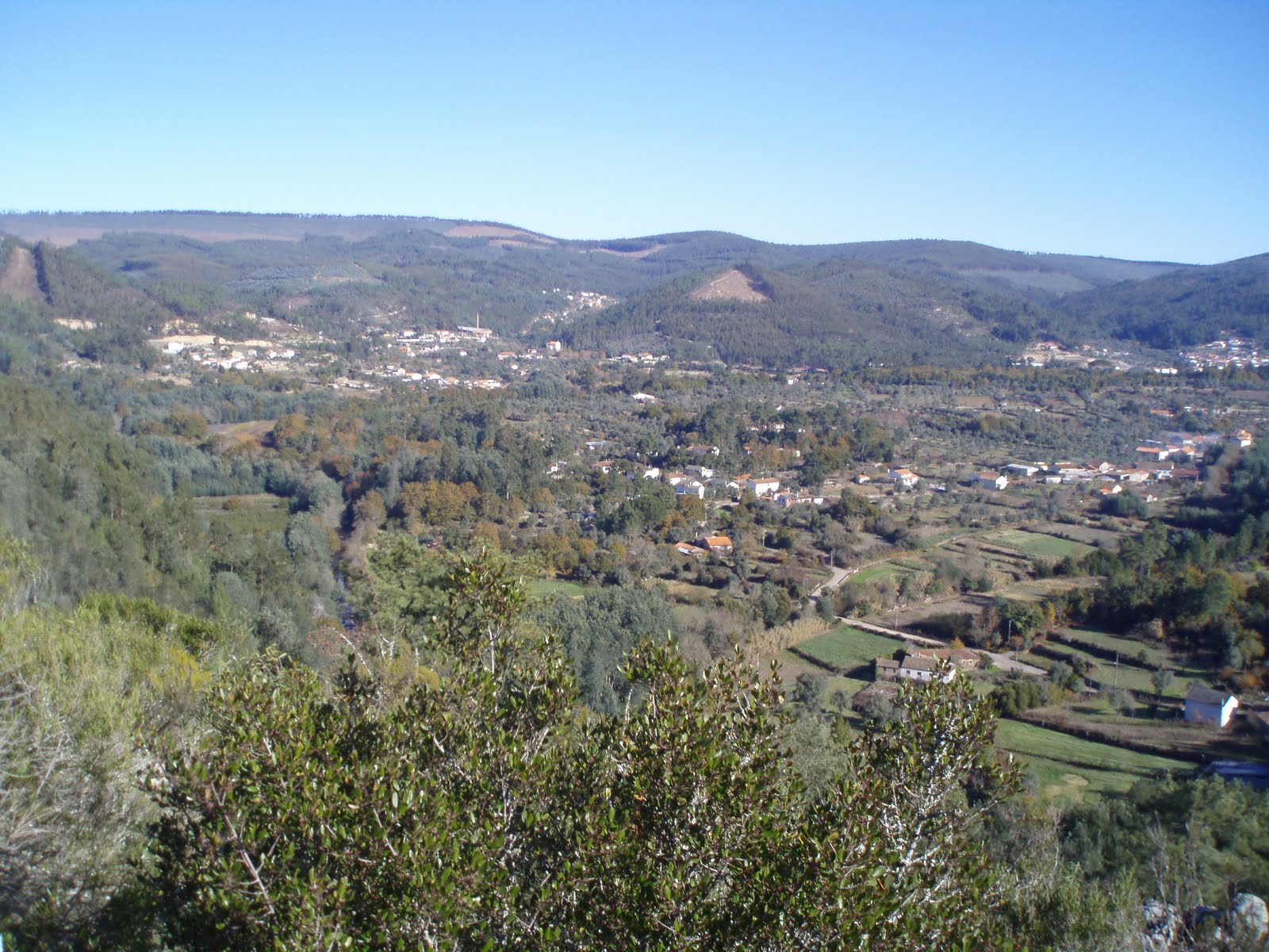 [PB230009.JPG]