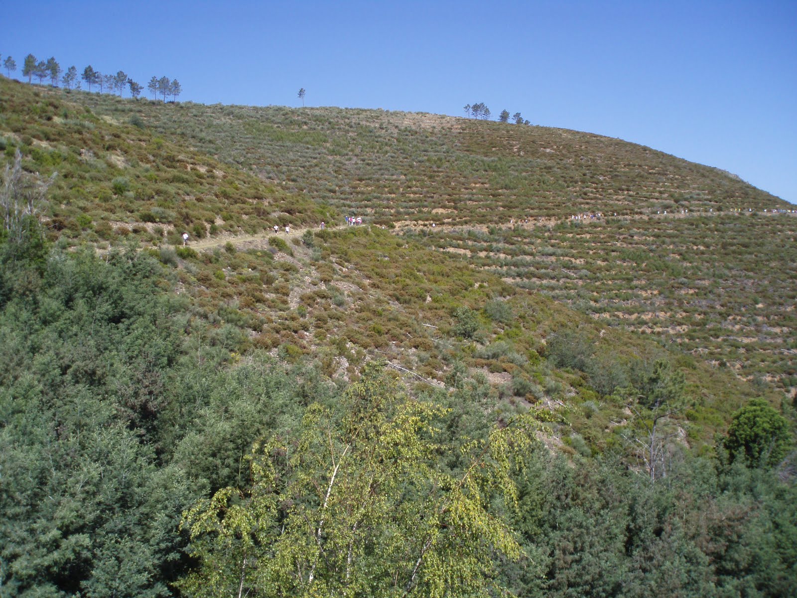 [P5310106.JPG]