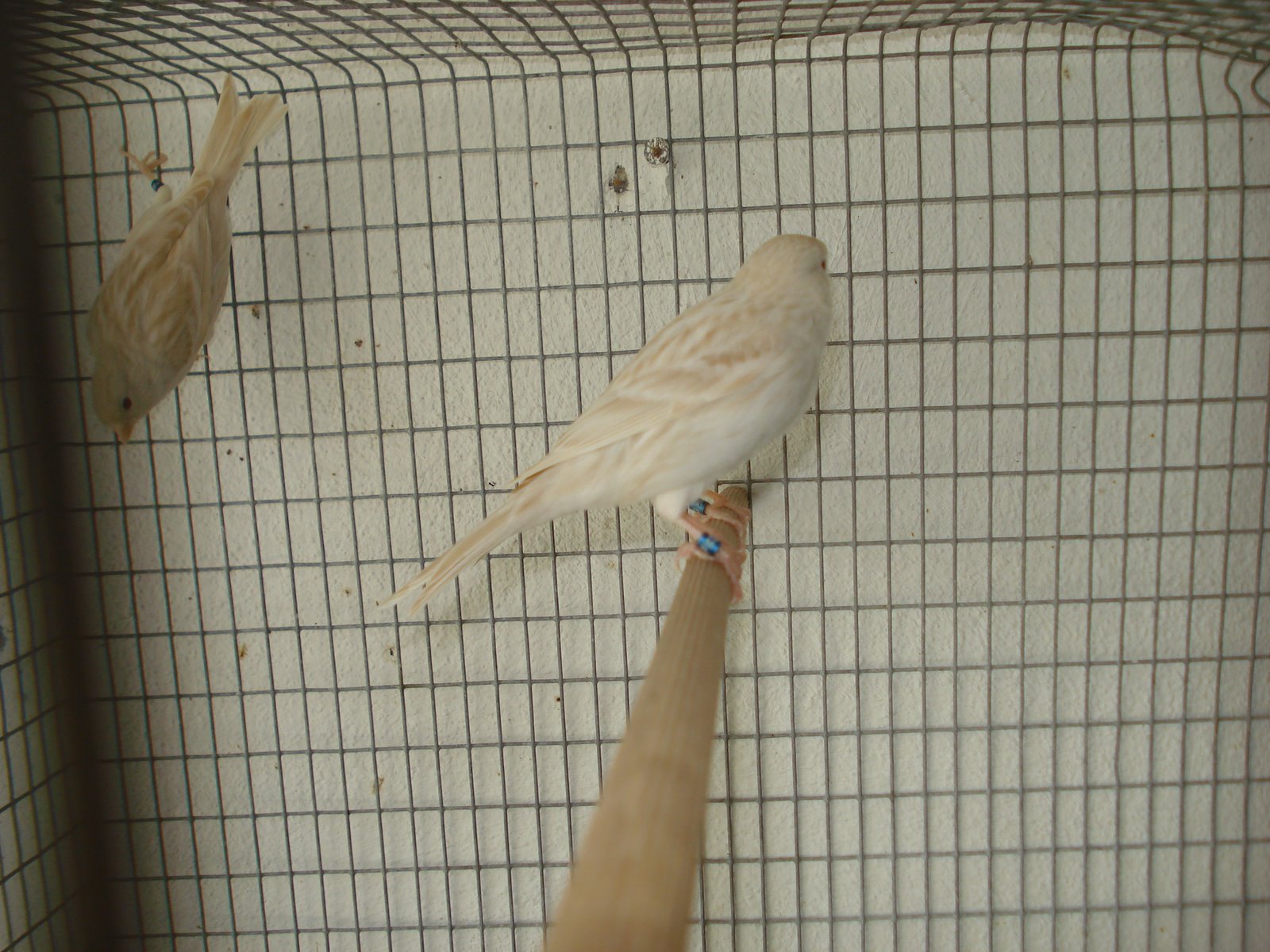 [DSC01060.JPG]