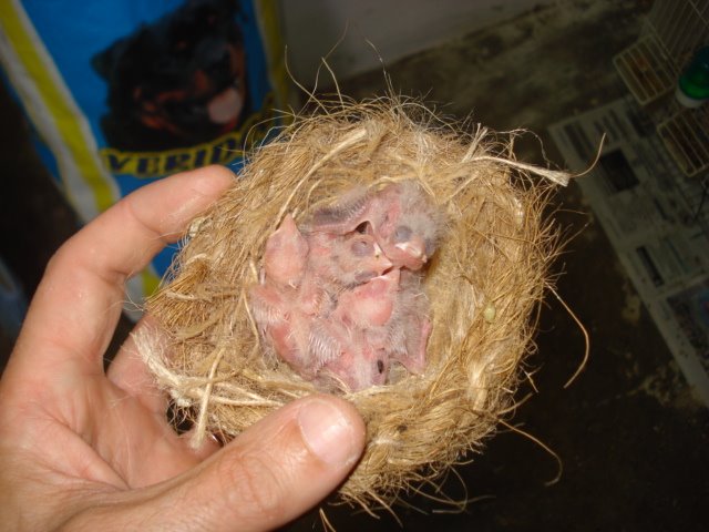 [DSC02355.JPG]