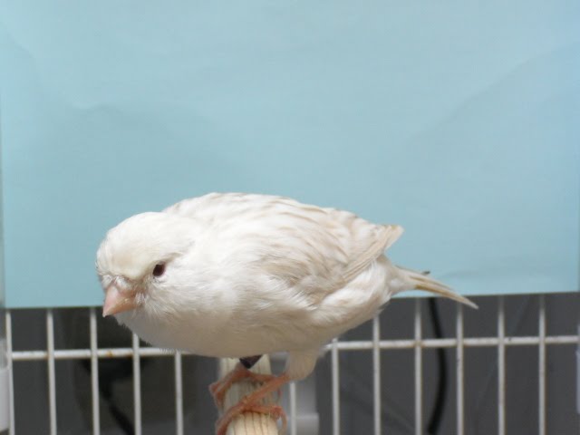 [ddr+138.jpg]