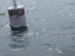 If you don't want to anchor, you can pick up a public mooring--$10/night