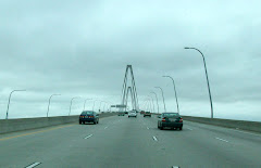 Rt. 17 bridge to Charleston. What holds it up?? From here, it looks like nothing does!