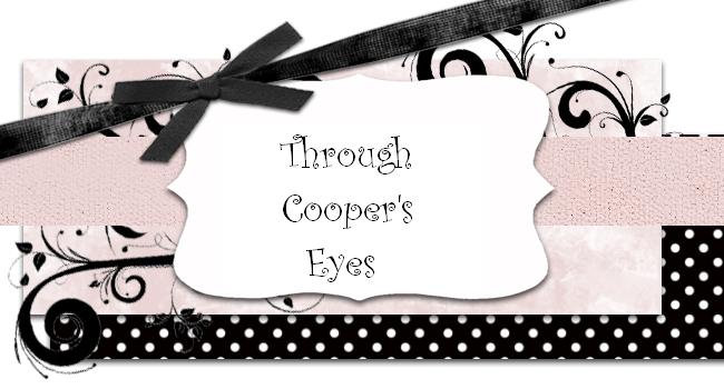 Through Cooper's Eyes